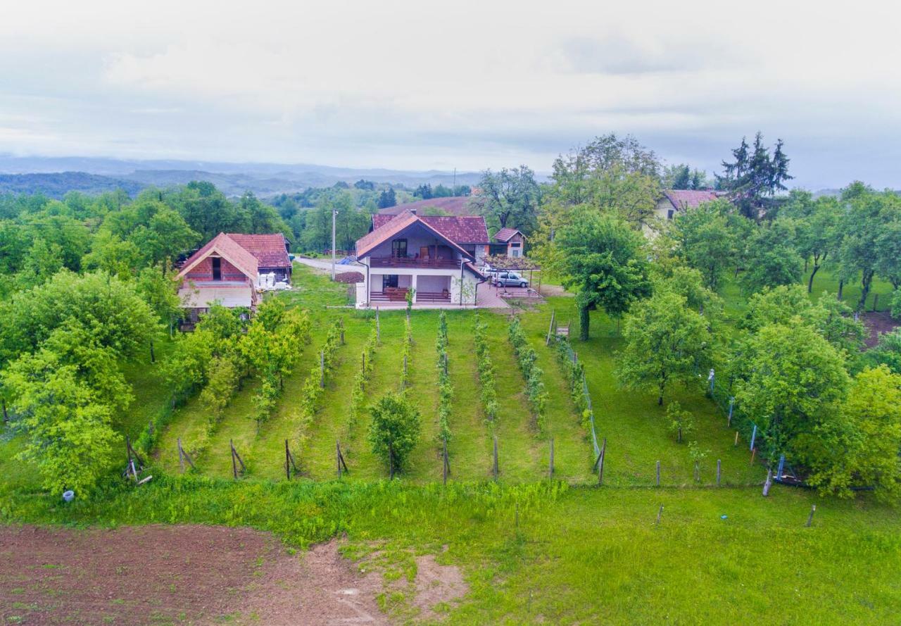 Holiday Home Dandelion With Hot Tub & Sauna Cetingrad Exterior foto